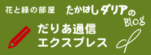 たかはしダリア ブログ ダリア通信エクスプレス