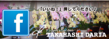 たかはしダリア フェイスブック