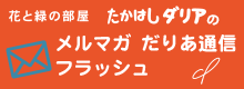 メルマガ　だりあ通信フラッシュ