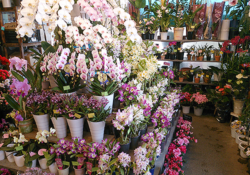 アレンジメント講習会