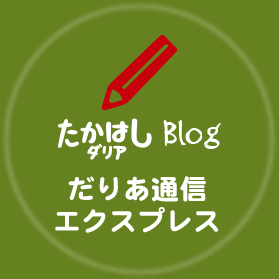 たかはしダリア ブログ ダリア通信エクスプレス
