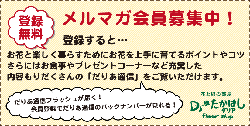 たかはしダリアメルマガ会員募集中！
