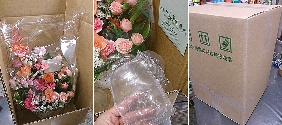 フラワー ＆ ガーデン たかはしダリア 宅配