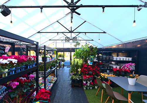 フラワー ＆ ガーデン たかはしダリア 栗山本店