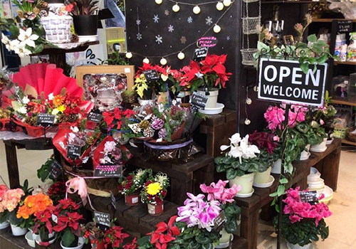 フラワー ＆ ガーデン たかはしダリア 南幌店