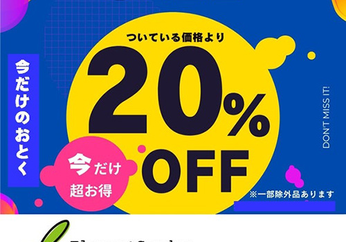 2025年7月　たかはしダリアクリアランスセール