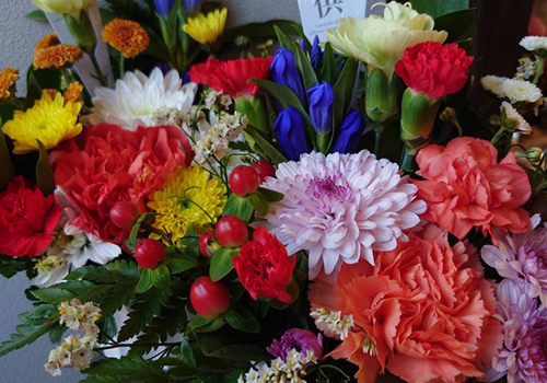 お盆がもうすぐです。たかはしダリア2025早期注文