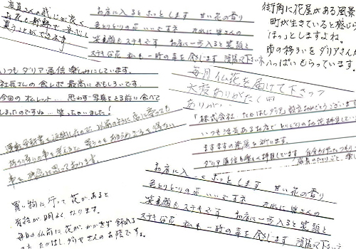 お客様からの声