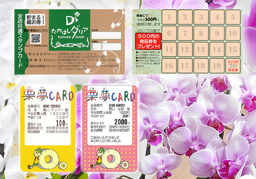 お店に行くとお得！スタンプカード・GOGOはちばなデー